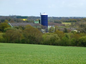 vue extérieure elevage