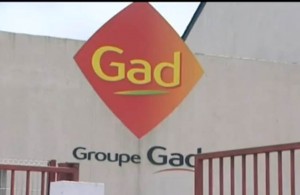 gad