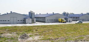 batiment-volaille-1100x530