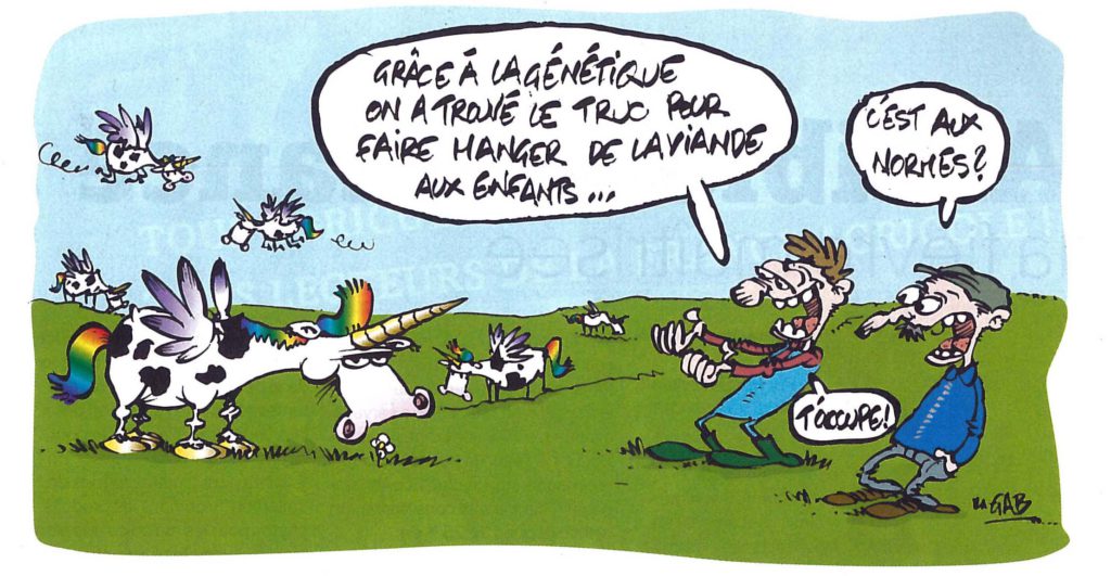 fanormes